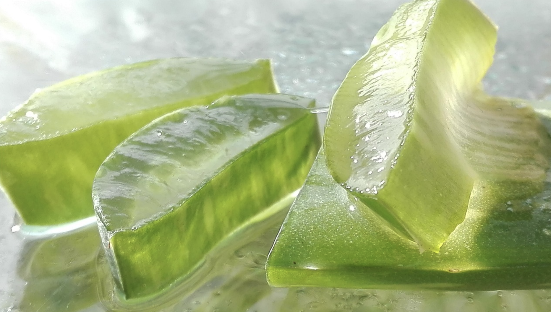 Aloe vera y sus beneficios